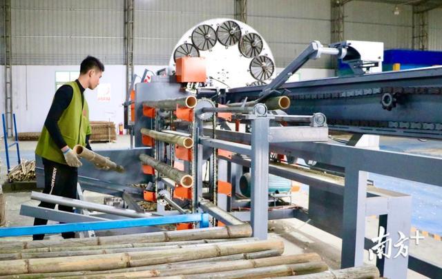 广东建中科技:以竹代塑开发新材料 以竹治污研发新产品